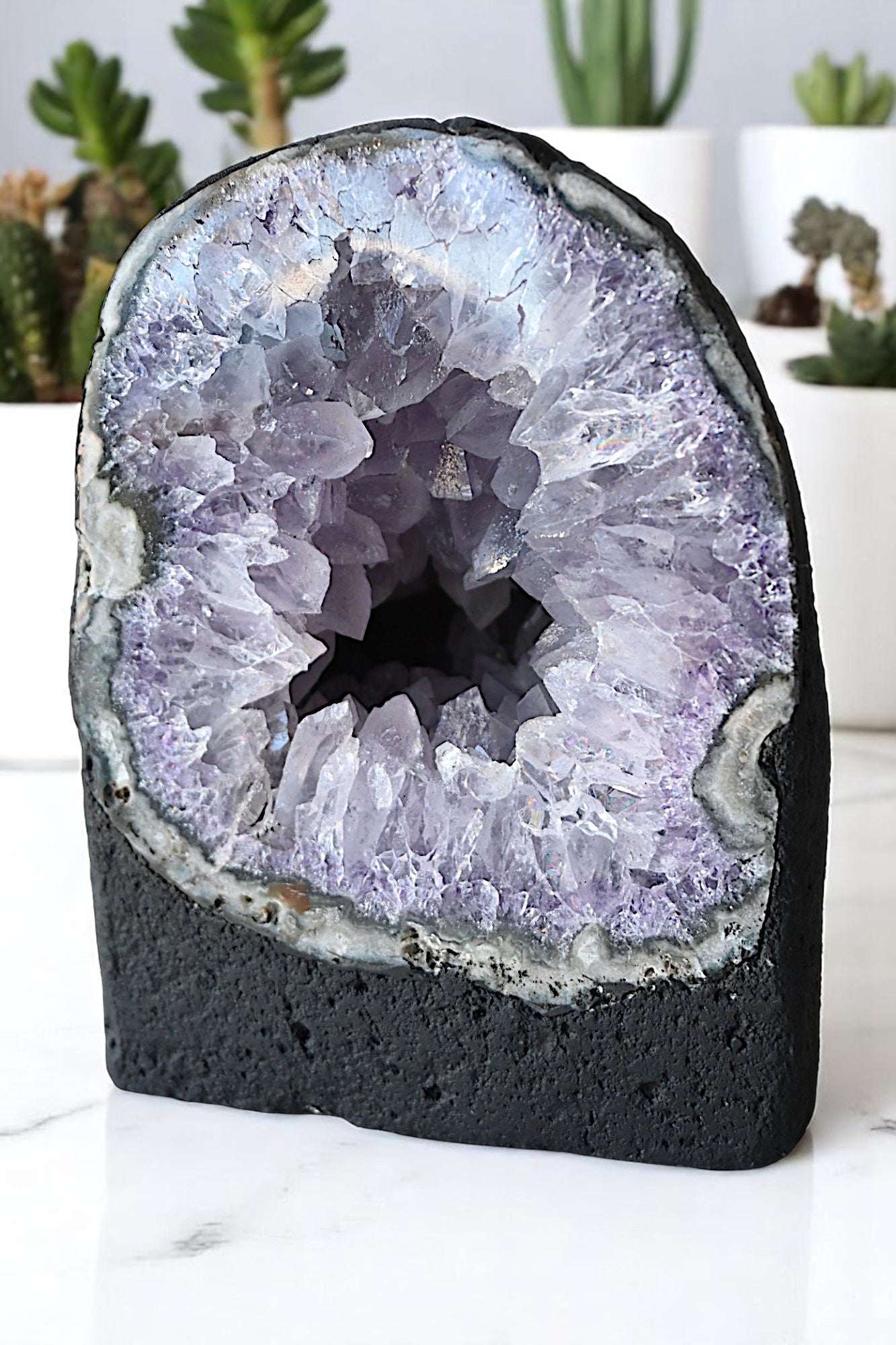 Violet Haven