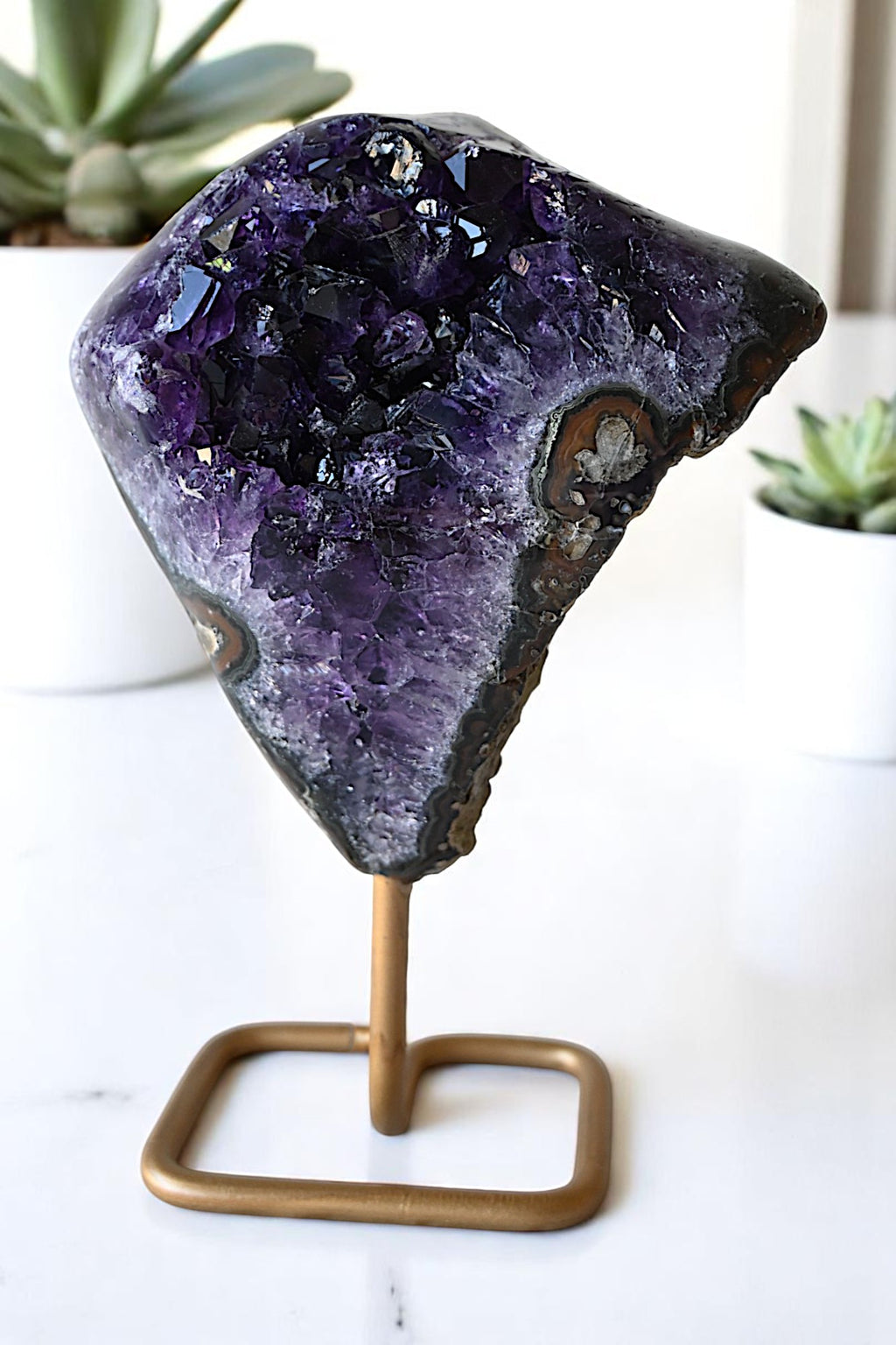 Violet Horizon