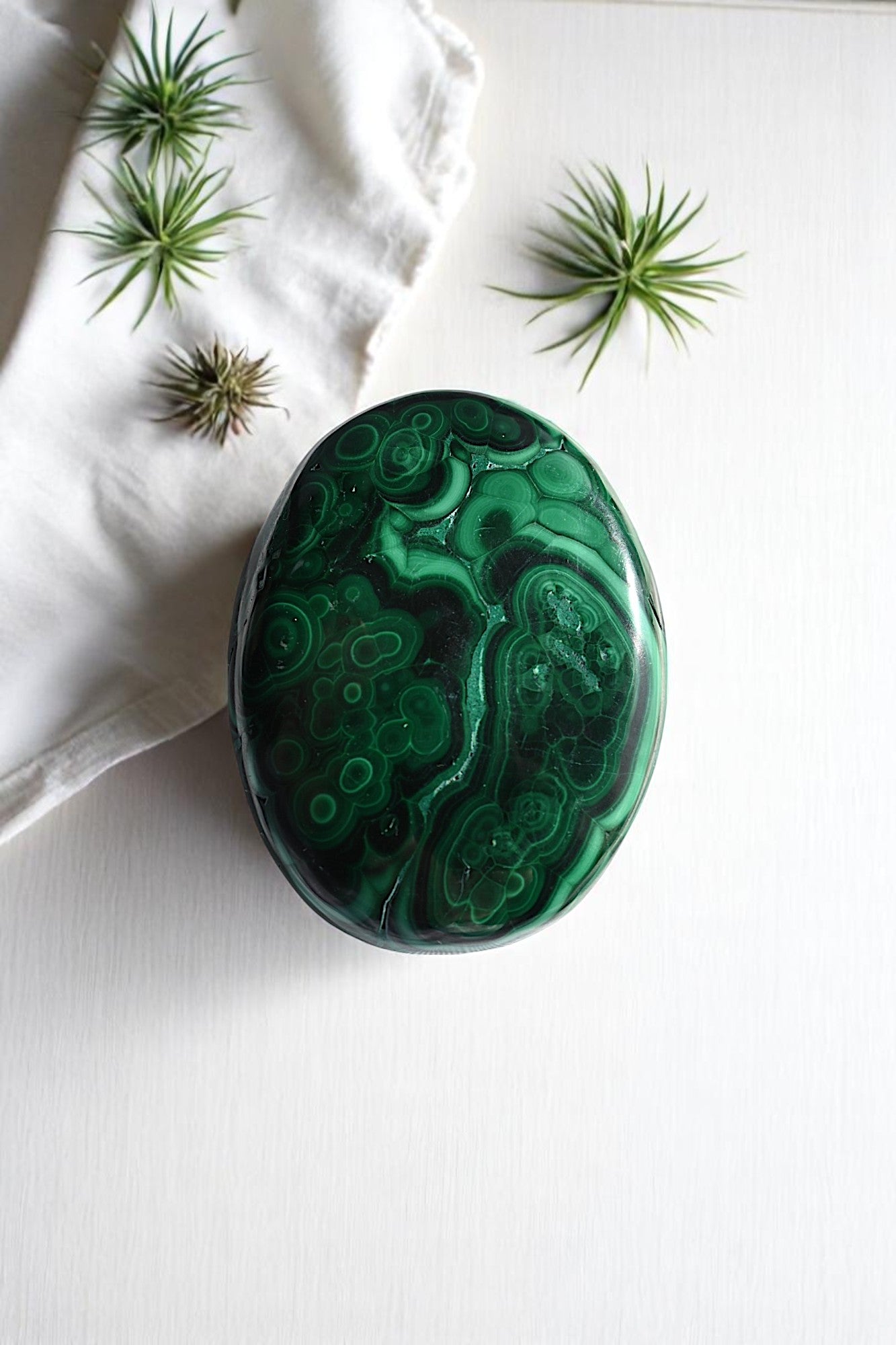 Jade Harmony