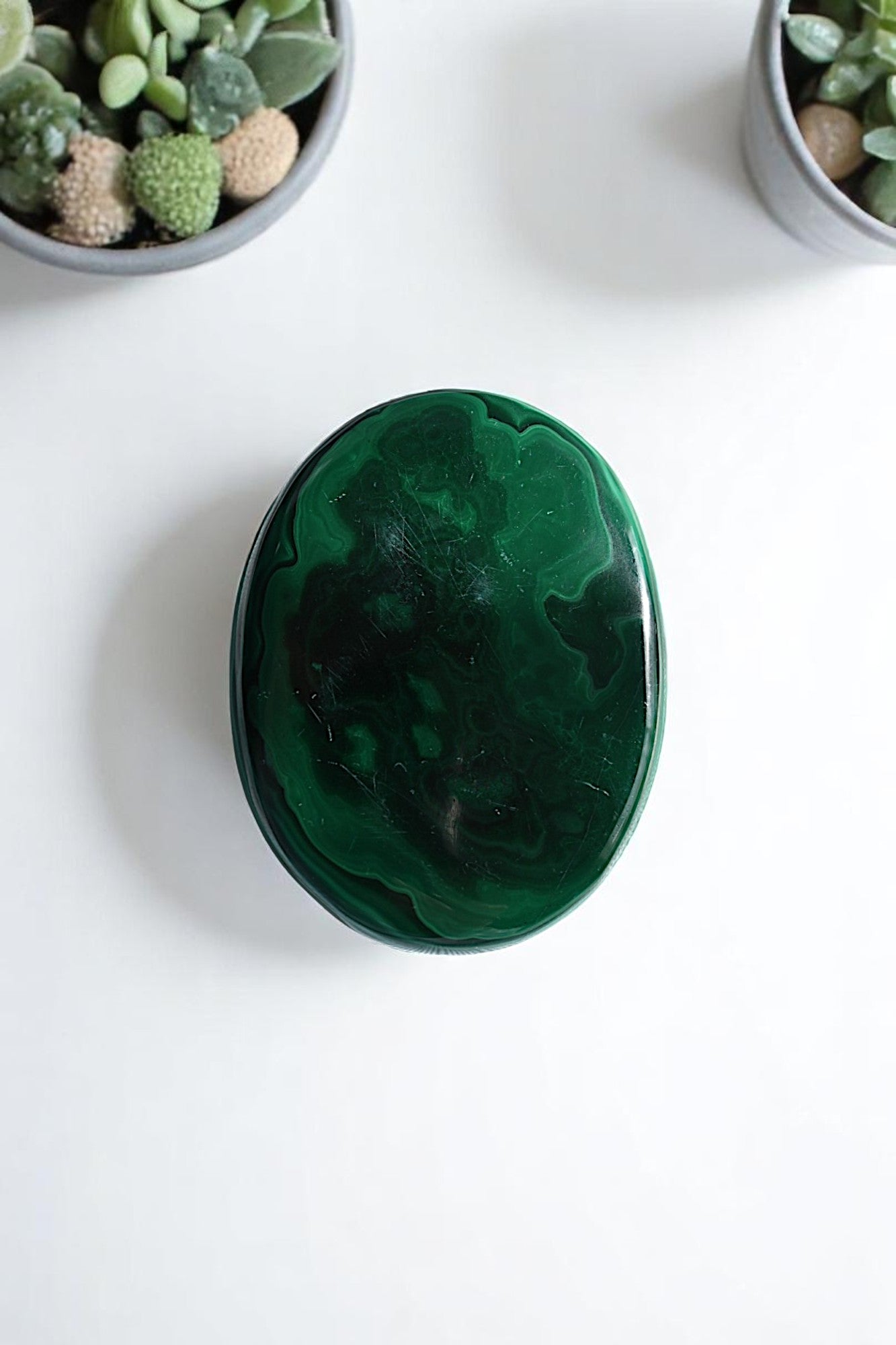 Verdant Balance