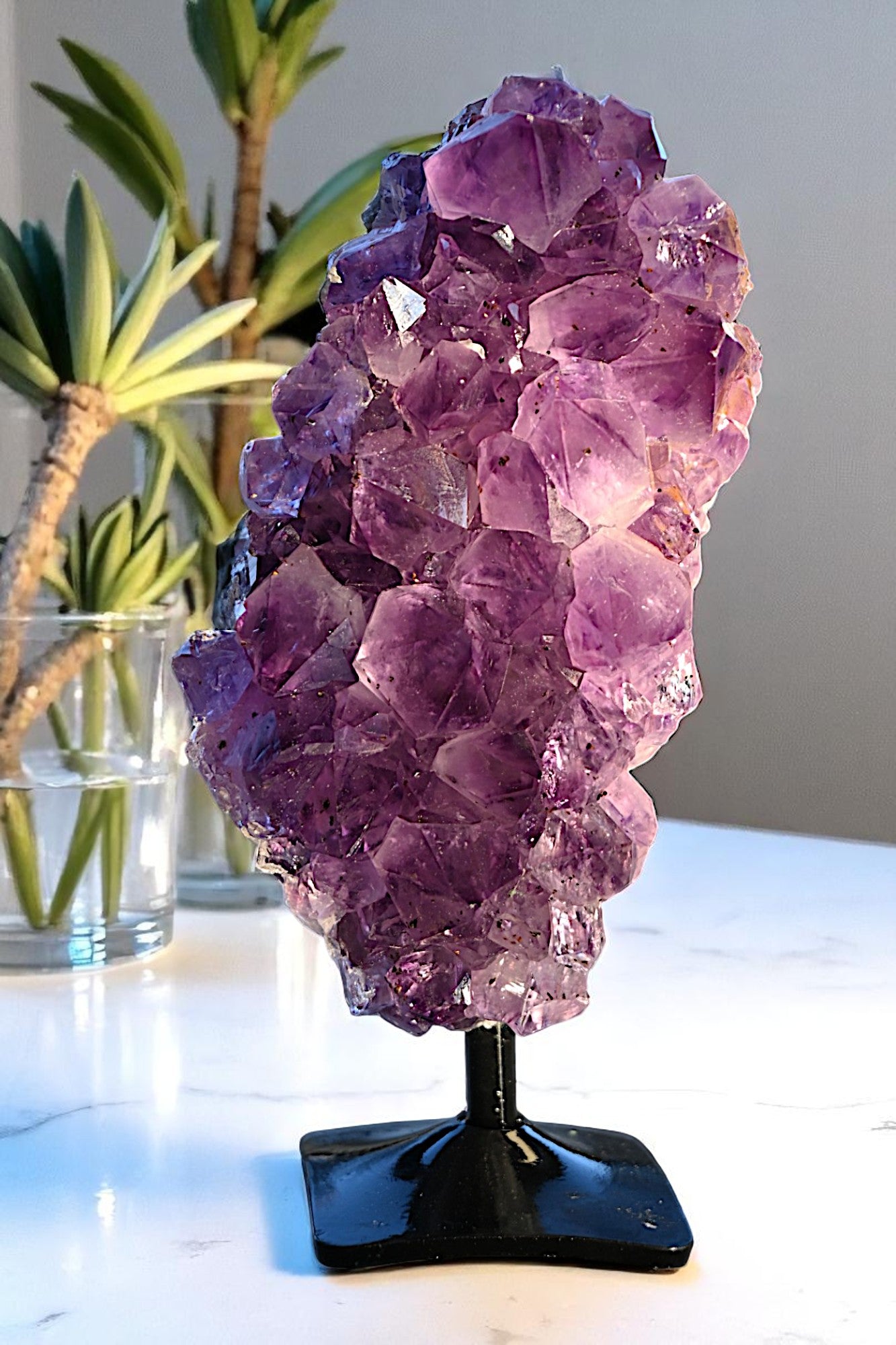 Violet Harmony
