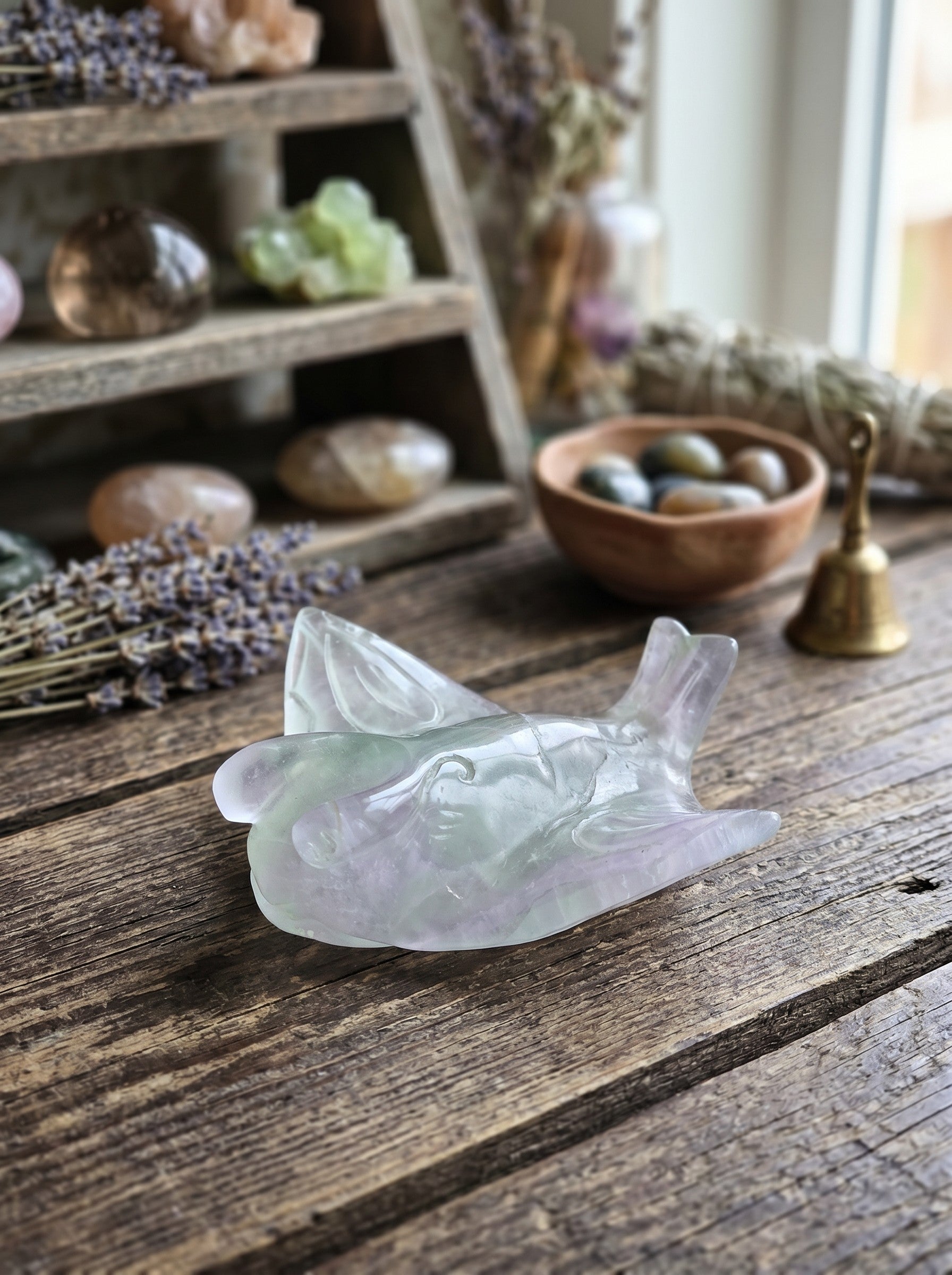 Pastel Fluorite Stingray