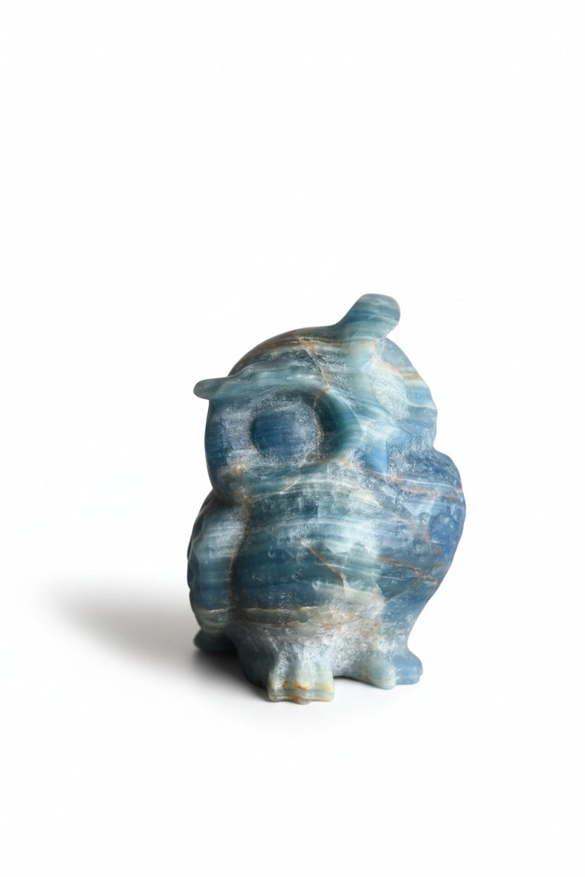 Blue Onyx Owl