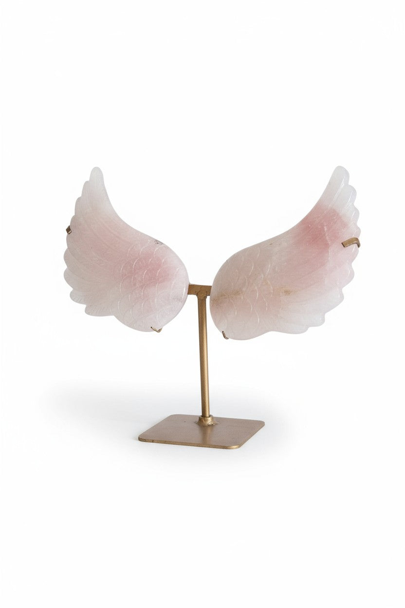 Angel’s Embrace