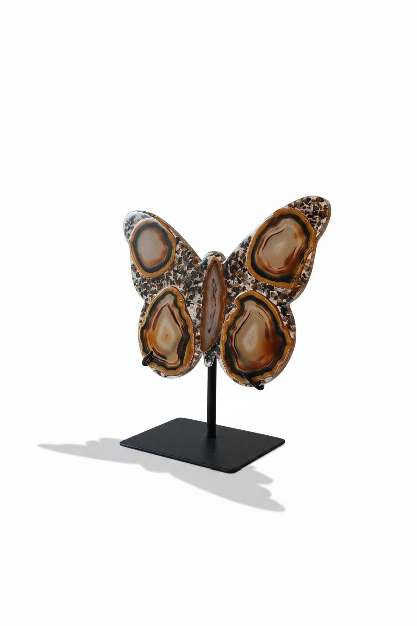 Harmony Wings
